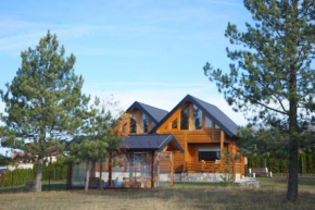 Zlatiborska sekvoja Zlatibor